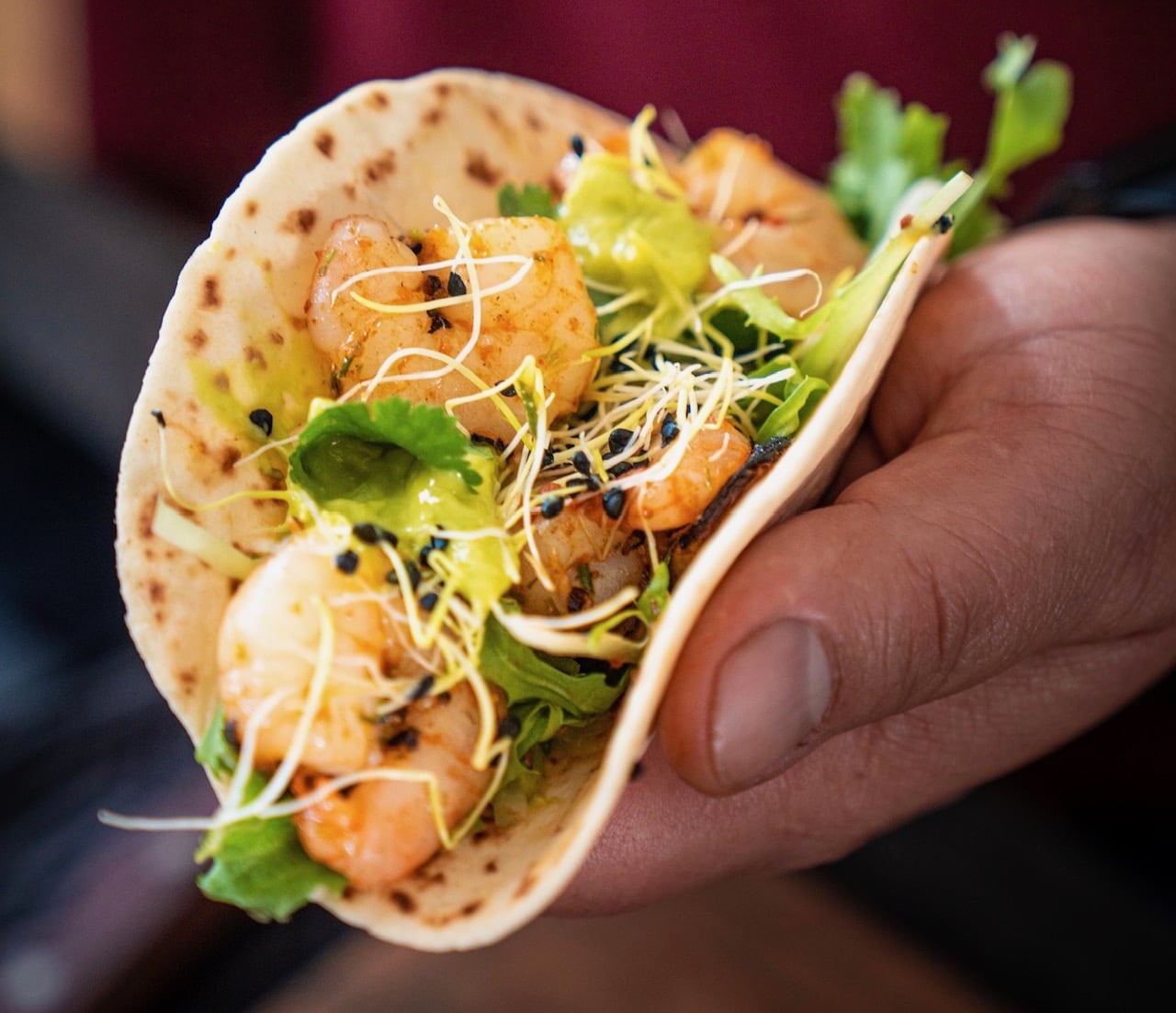 Shrimp Taco