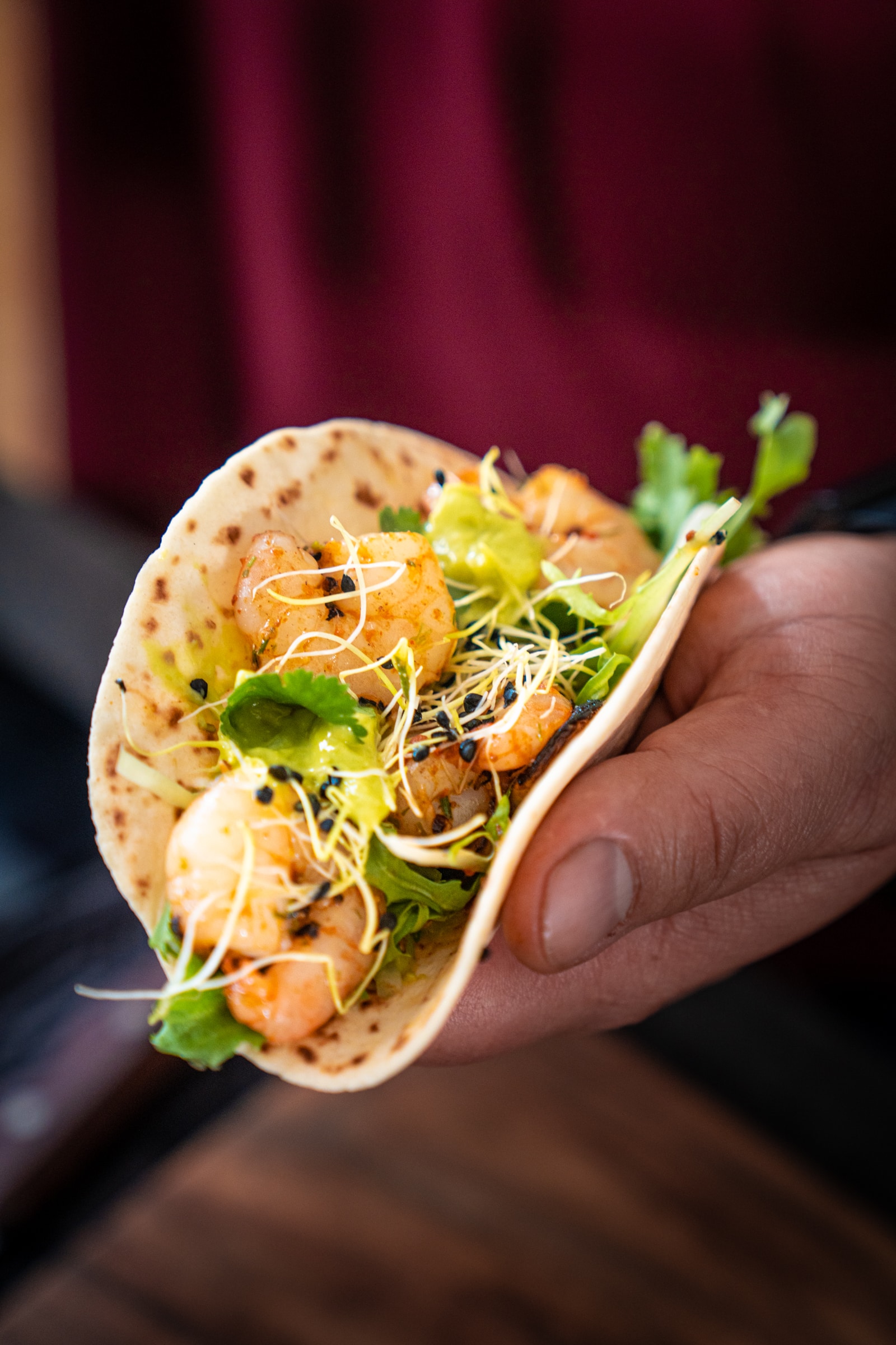 Shrimp Taco