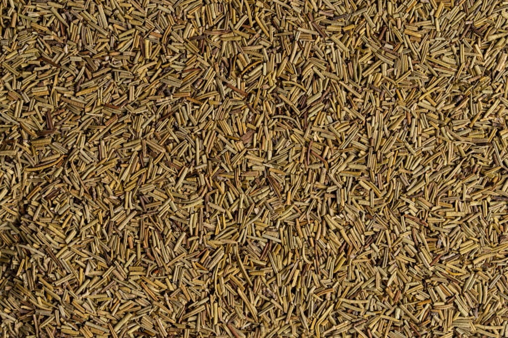 Rosmarin von Spicebude